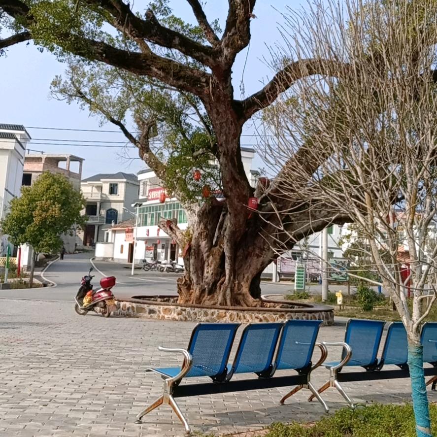风景如画
