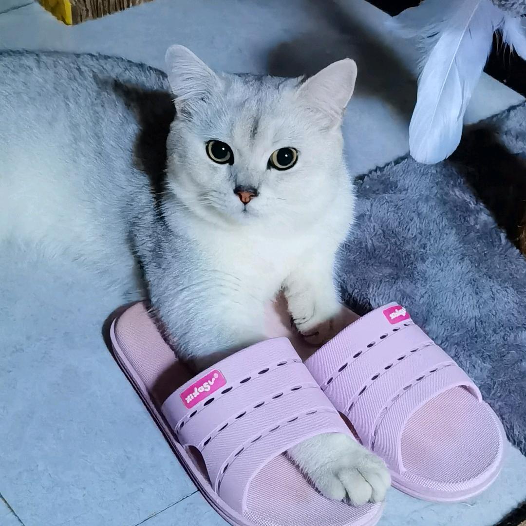 ❥友姿头像