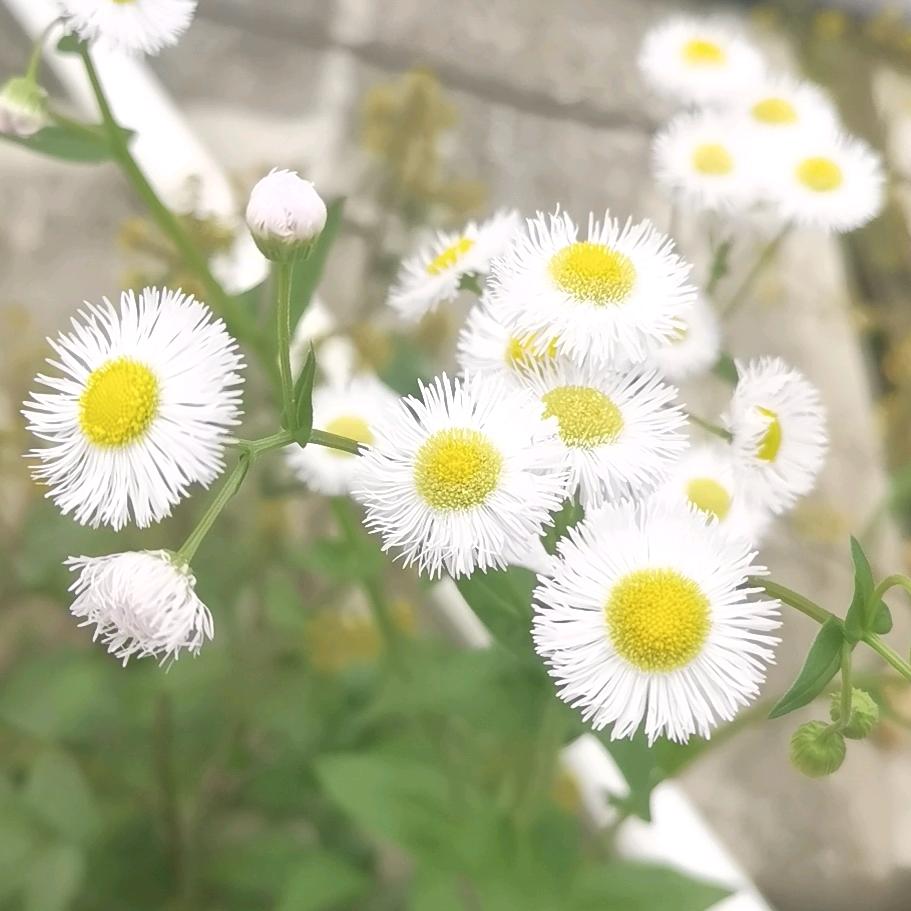 无锡英邦农副产品配供有限公司