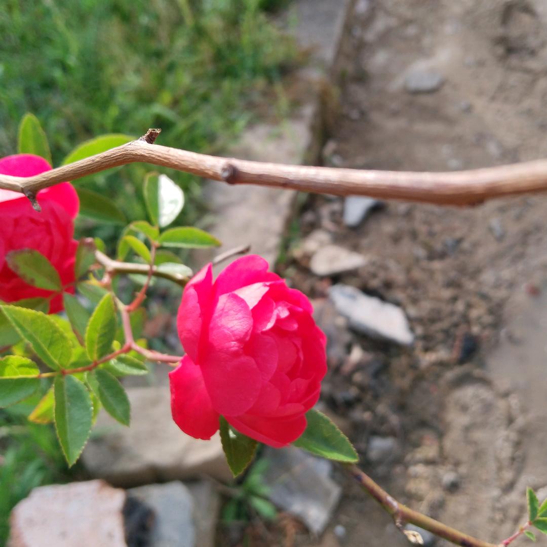 曾经沧海难为水