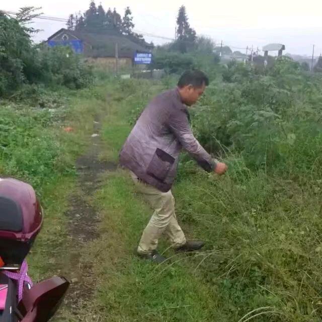 友