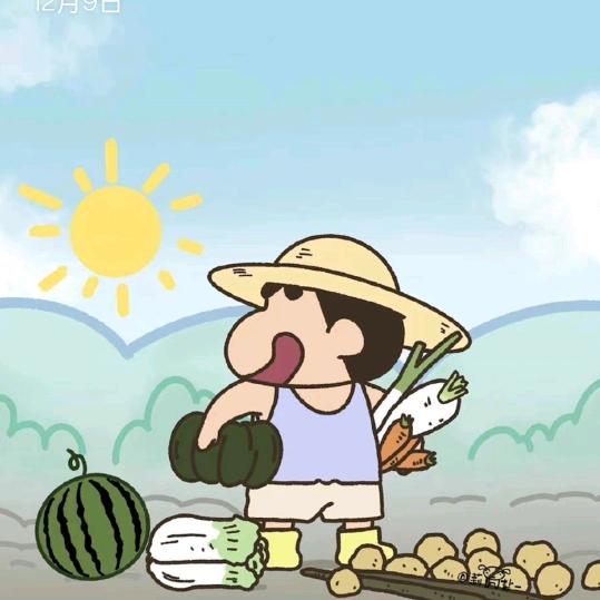 股道杯实盘大赛