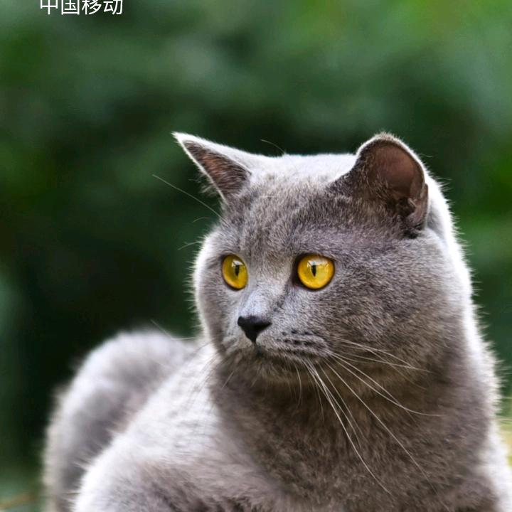 春去冬来