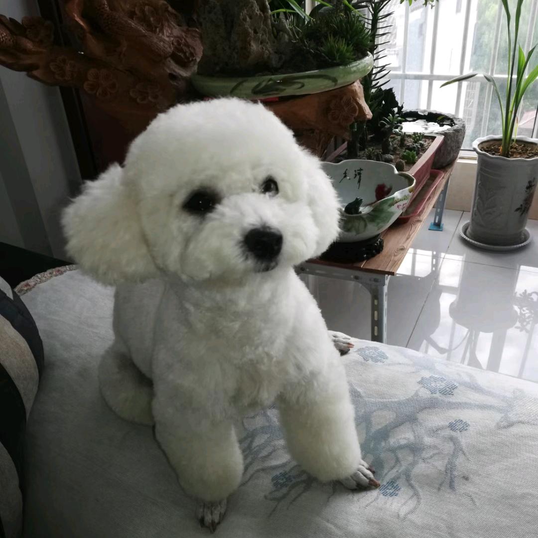 杜老大