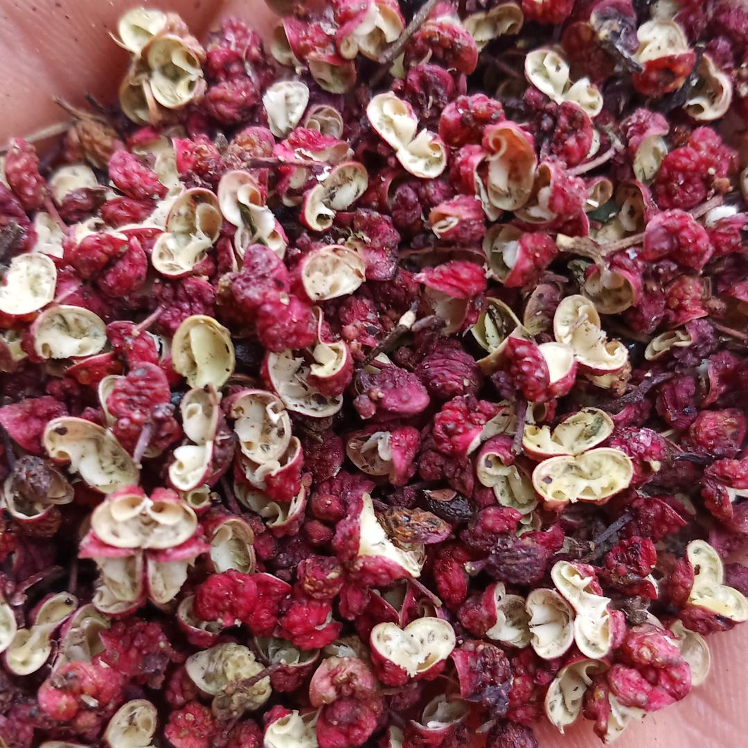 大顺丰武都花椒供应链—陇烨盛达-尹小刚