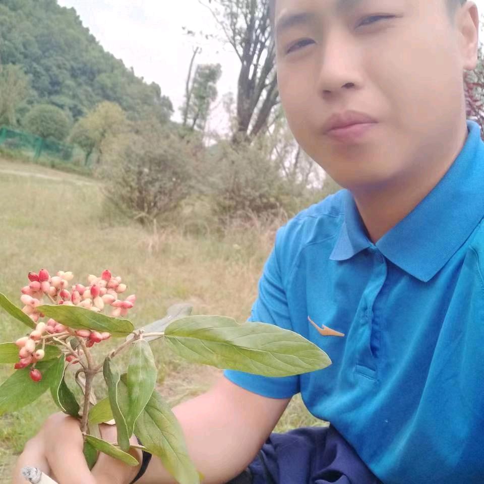 🌸偏爱枕惊鸿🌸