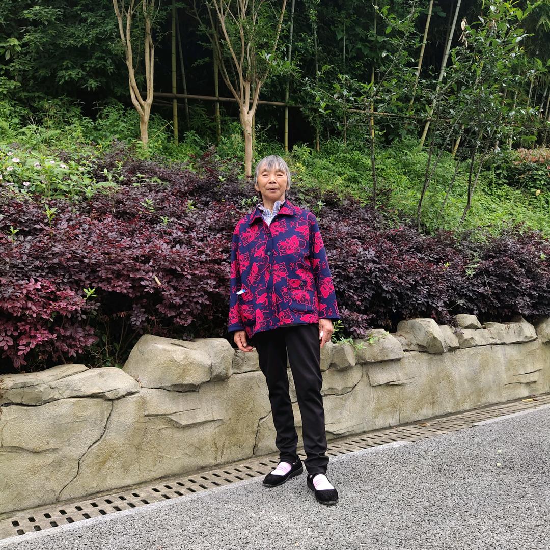 金银花