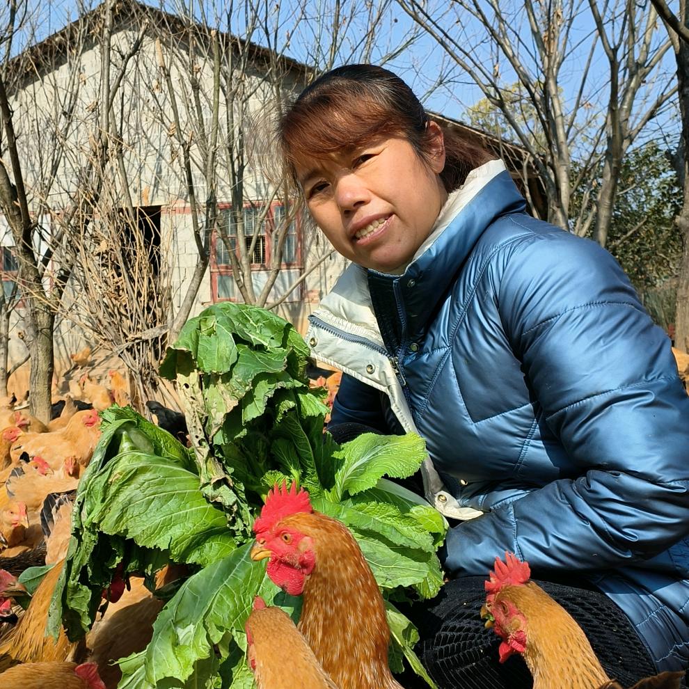 新愿