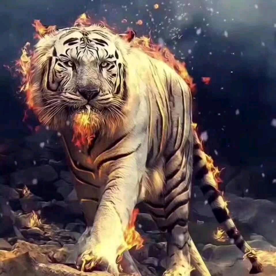 曾经拒绝关之琳