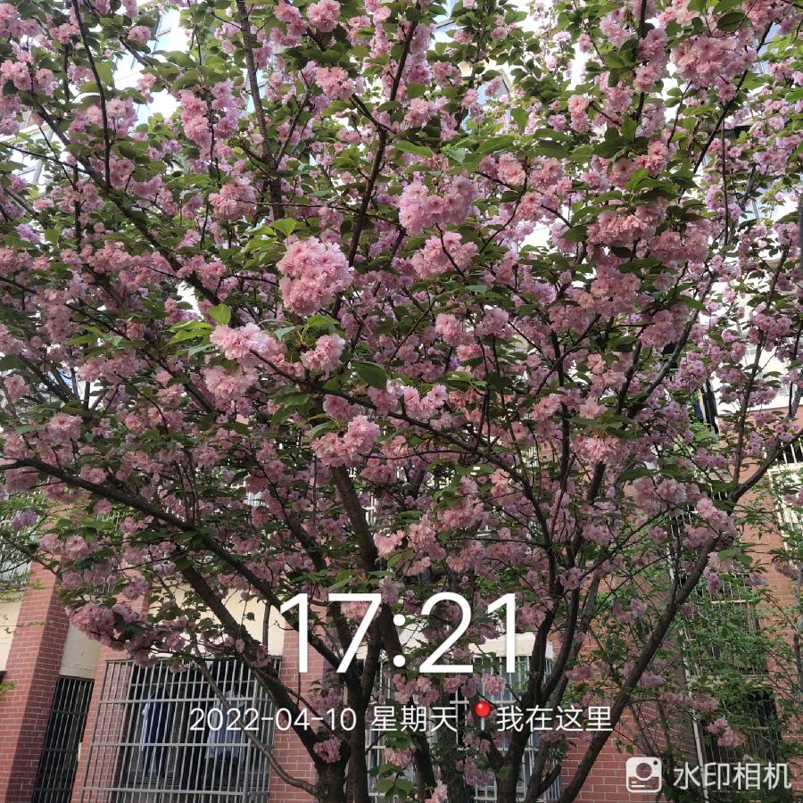 @爱你一生一世（风萧萧鼓乐团4号小鼓）