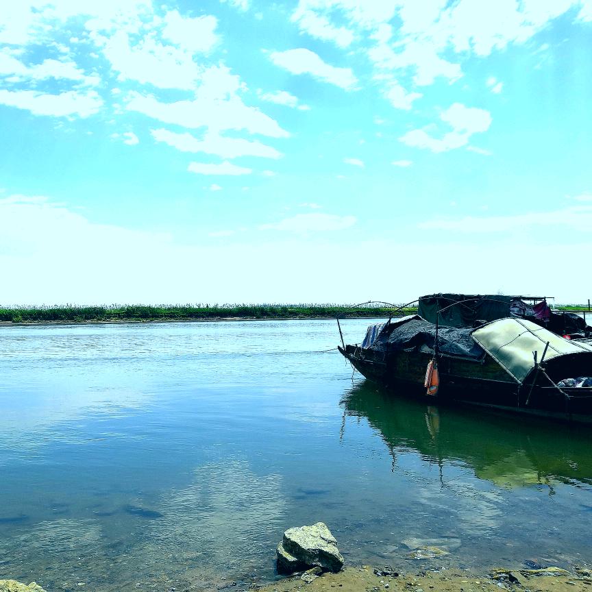 心海的癫疯人生
