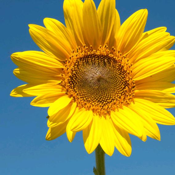 康芳芳开心就好😄