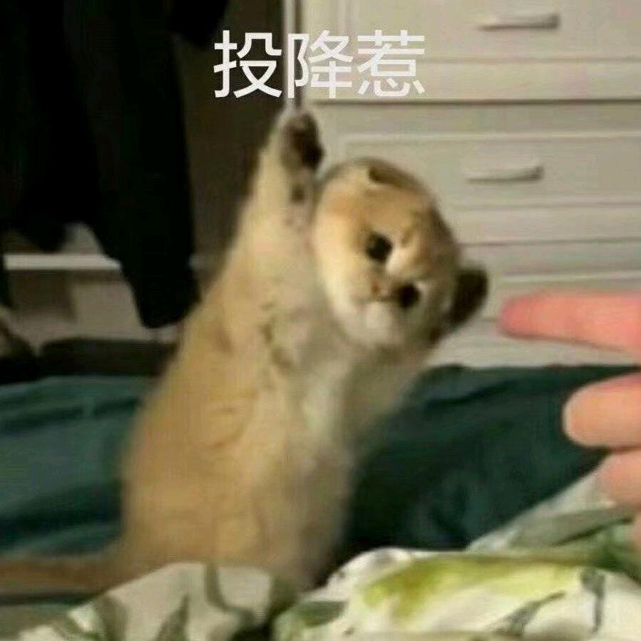 谁的等待，恰逢花开