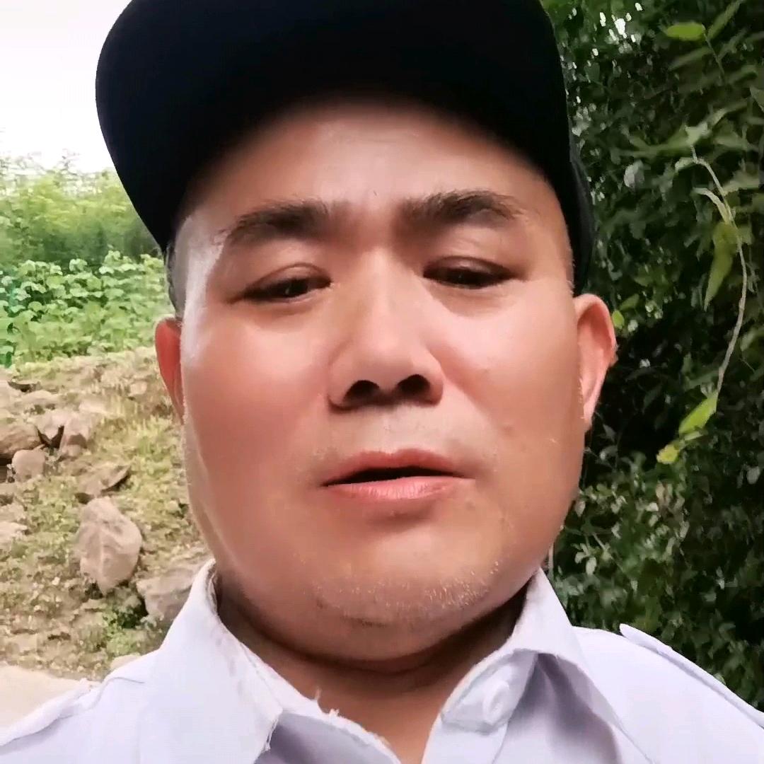 老陈