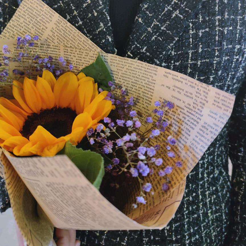 qzuser（无声舞者）