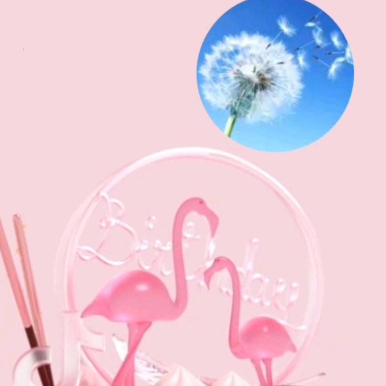 蒲公英