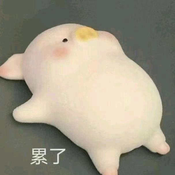 🌈哈哈哈🌈