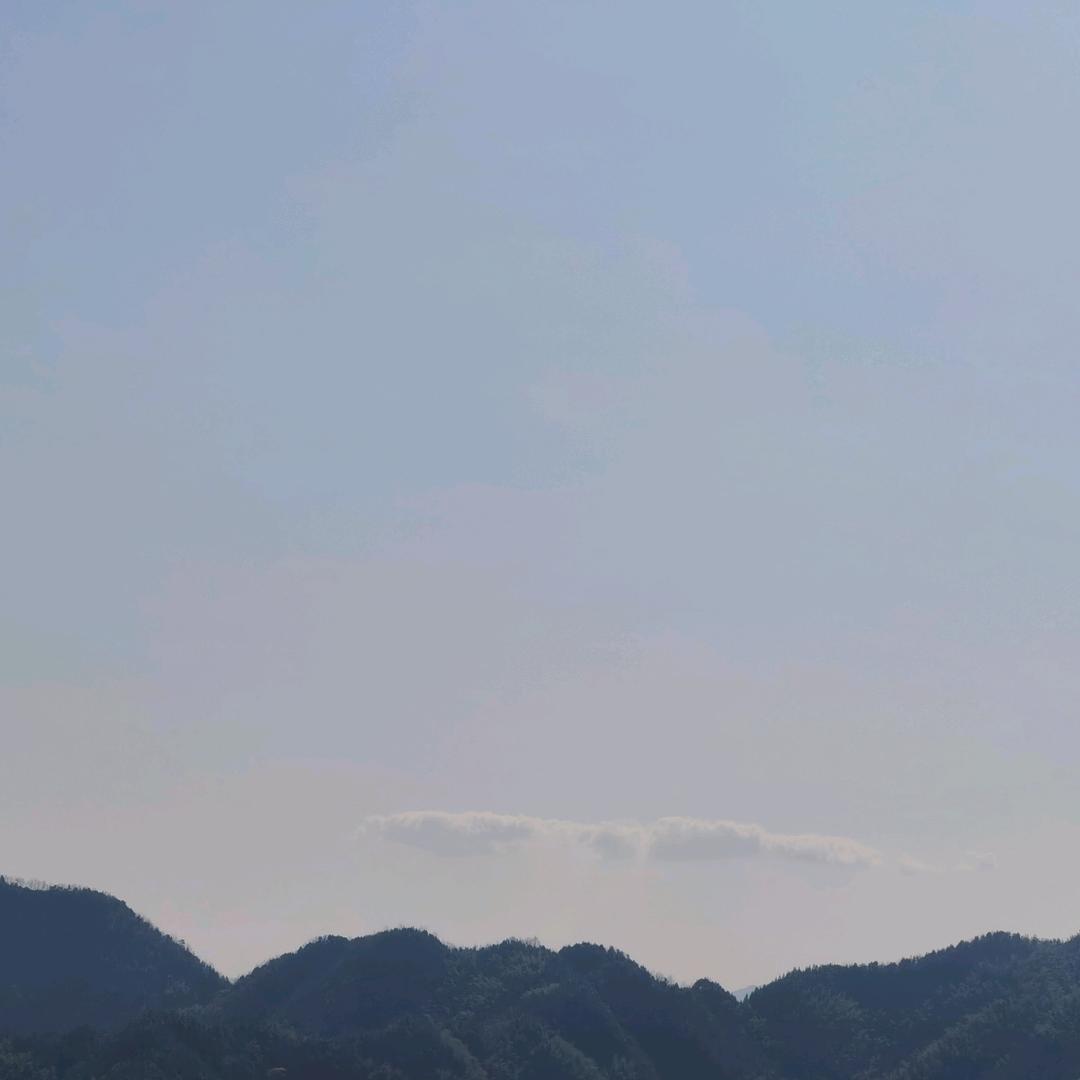 八百