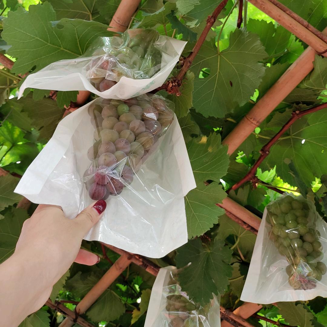 黔南公举小殿下@