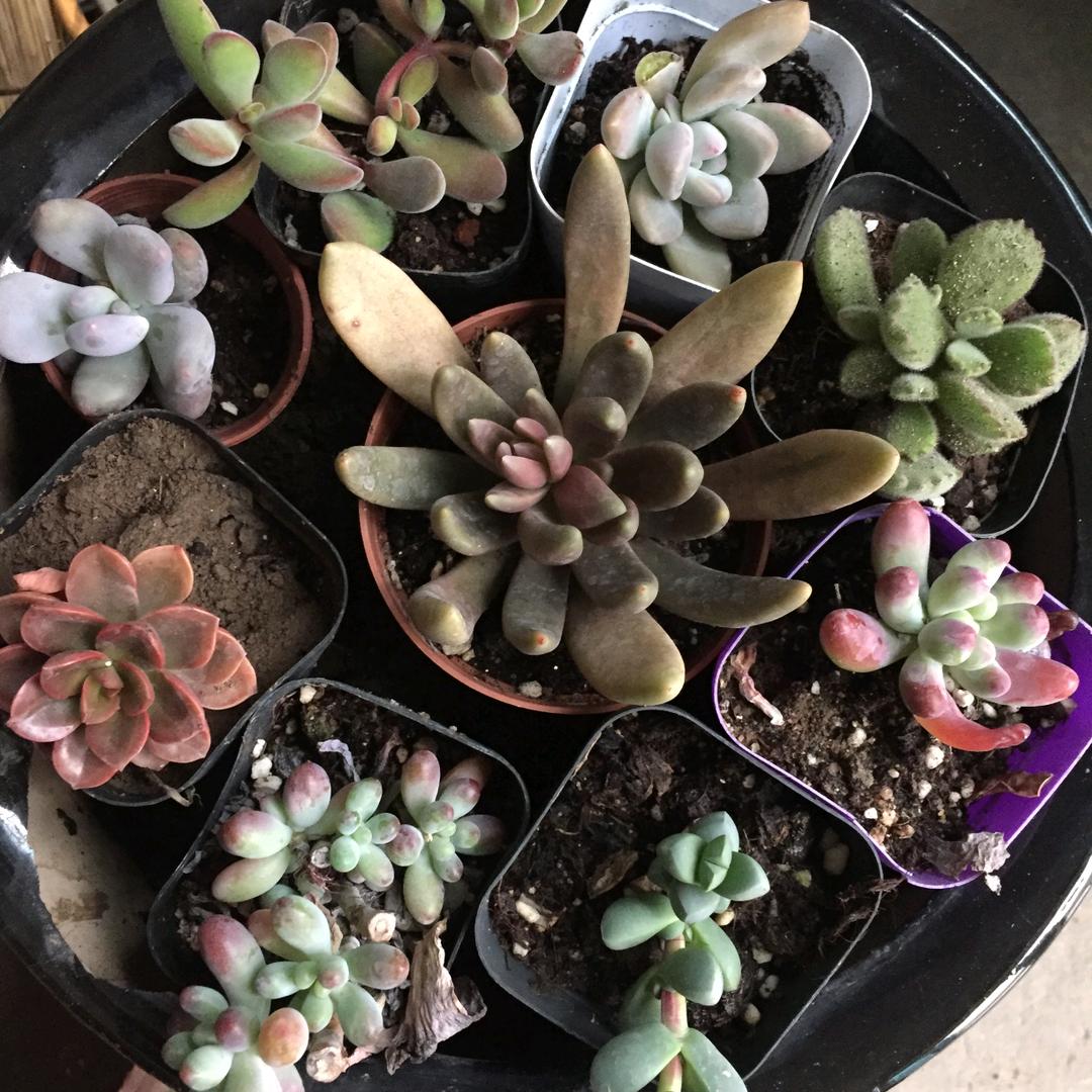 事事通你有需要我来干