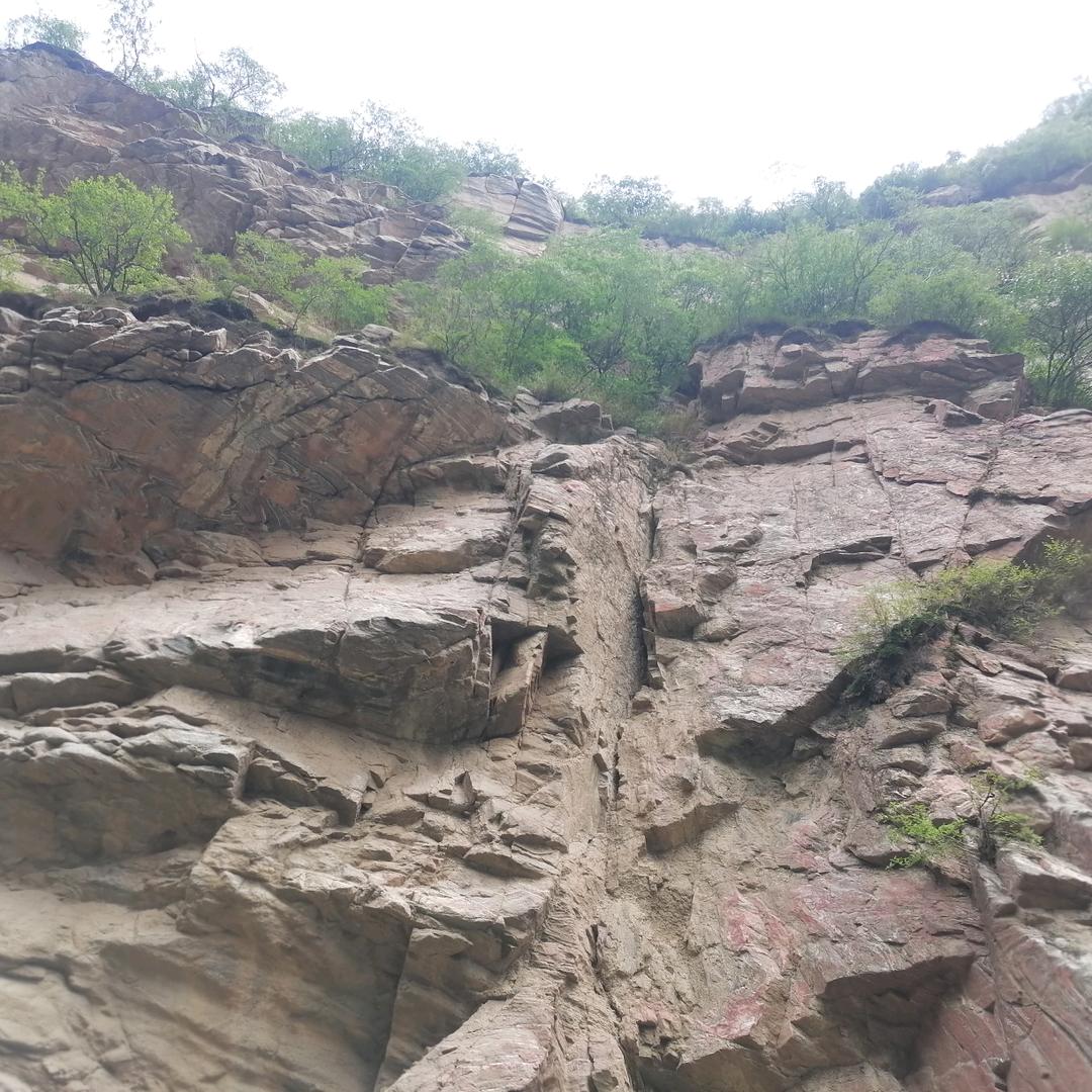 🐍⁰⁹.₀₁孤🐺℘࿐