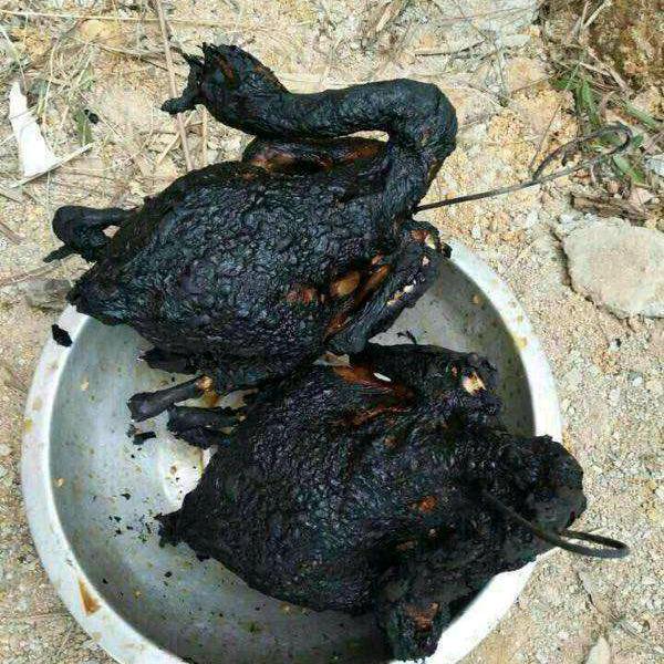 王者·老庄