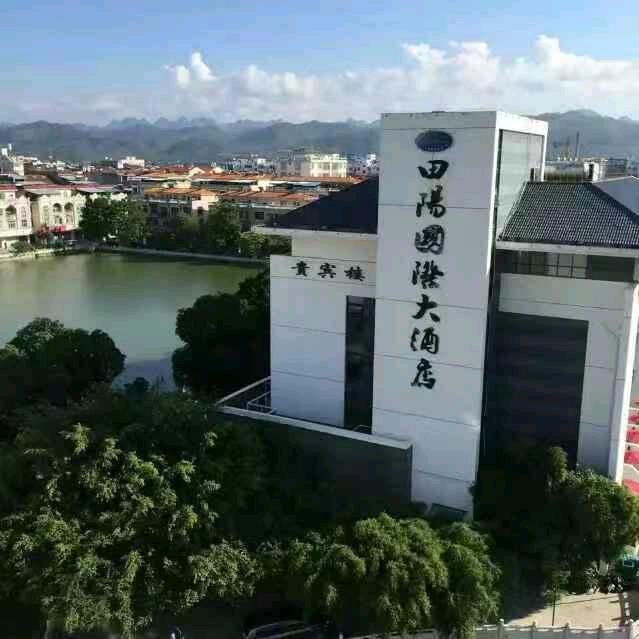 百色田阳国际大酒店