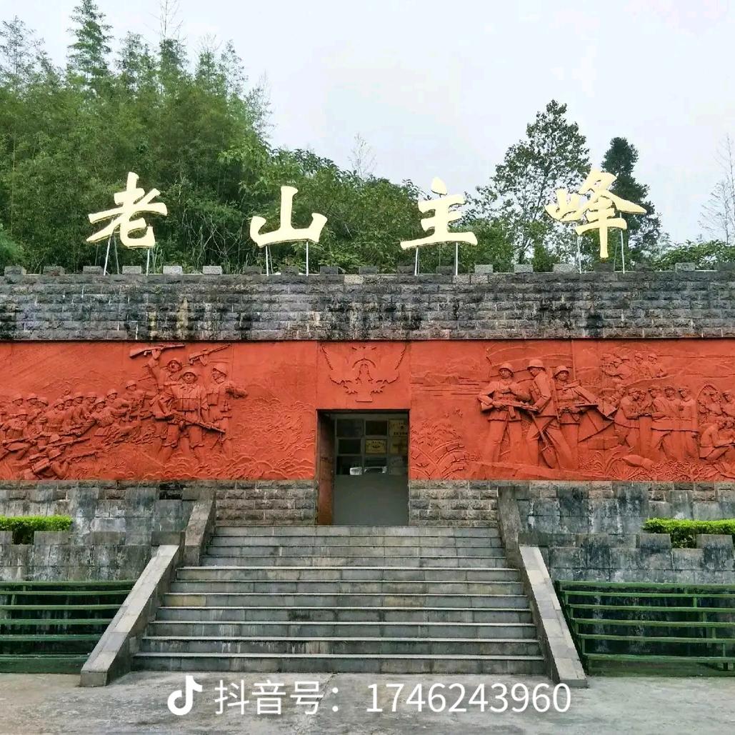 镇沅锦红蔬菜种植基地