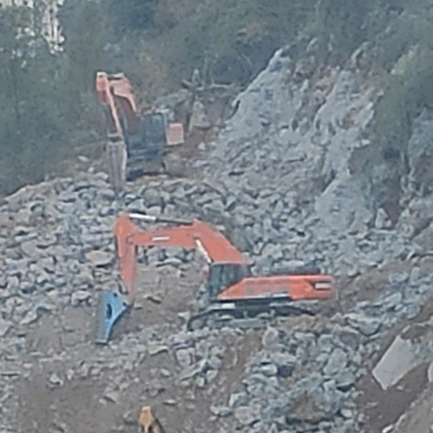 川挖  《伐木一条龙》木林森团伙