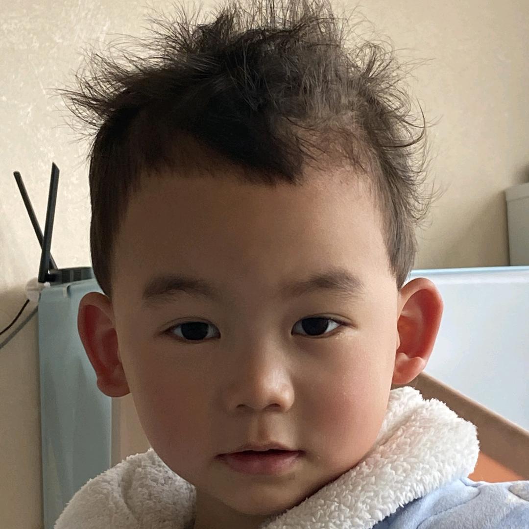 小麦兜生活日记