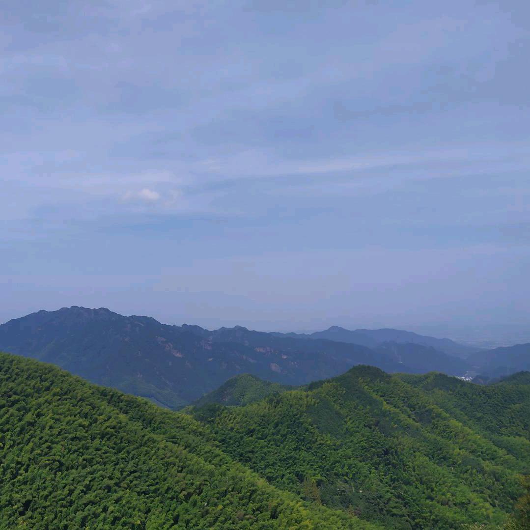量力而行