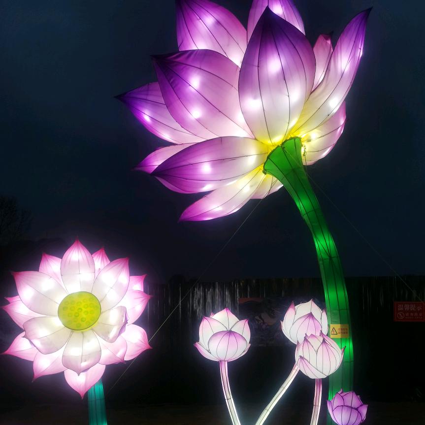 💞ঞ᭄心向阳光ഒᩚ࿐