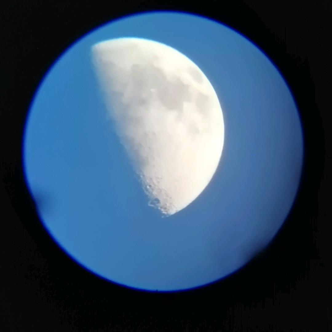 天霸动霸
