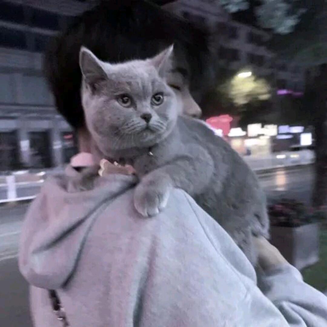 小杨睡不醒ㅤ