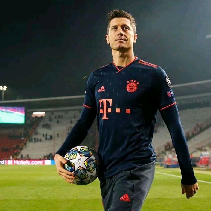 巴伐利亚南大王