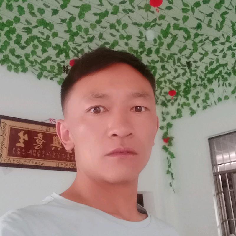 被情，所伤都进来