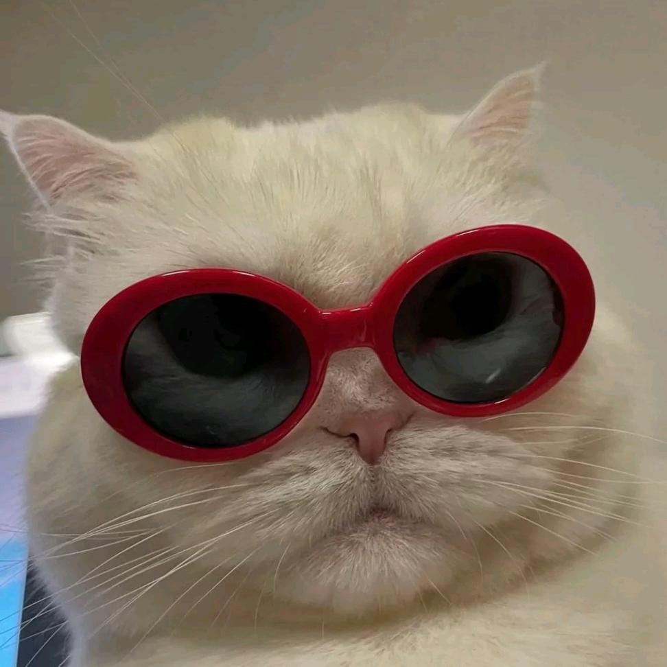 敌
