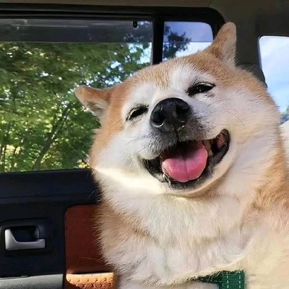 ☀️cc