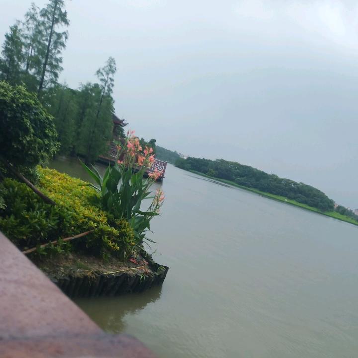 回不去的青春🍀🌻⭐