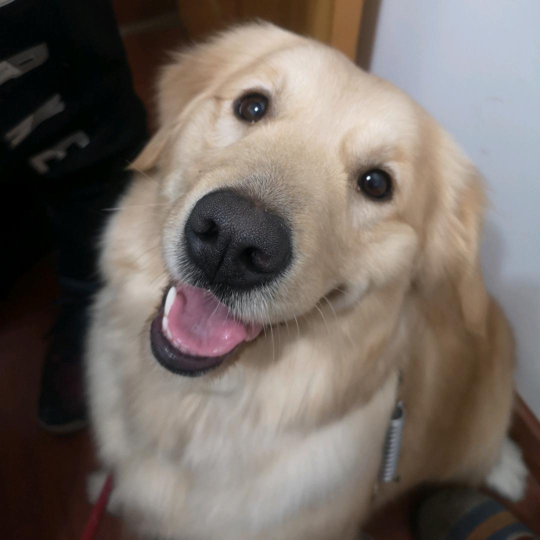 布丁布丁啊～～