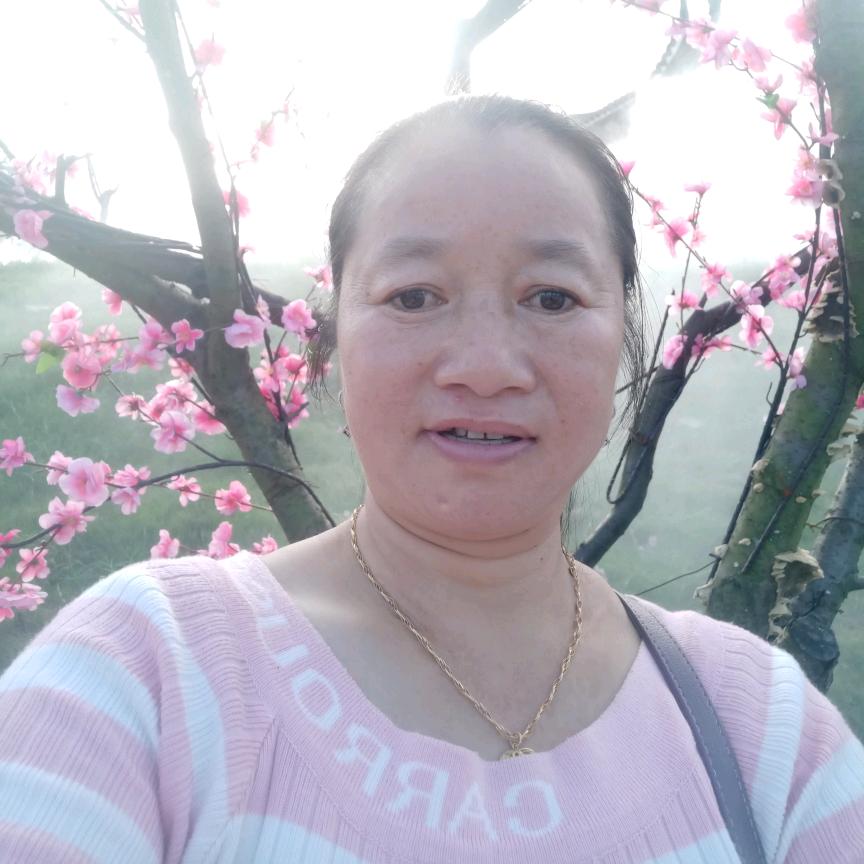杨桂兰