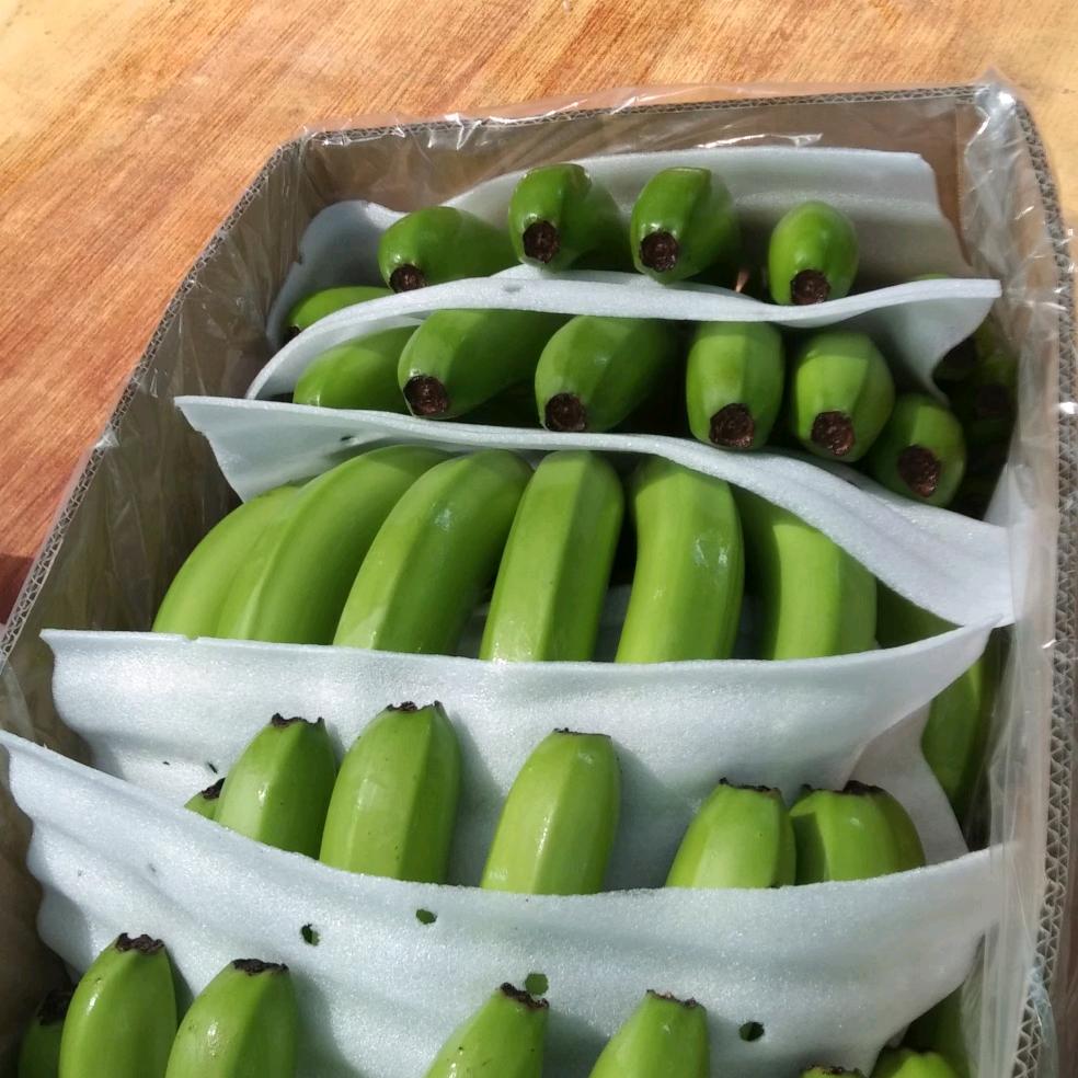 农村小伙，(首播第一天)