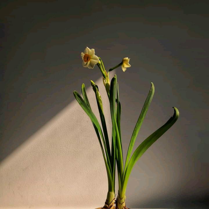 薄利凉菜