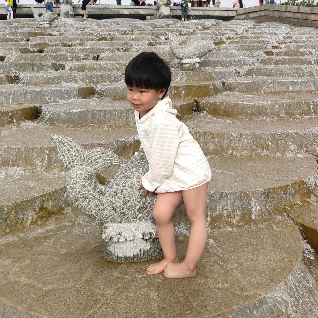 小杨哥