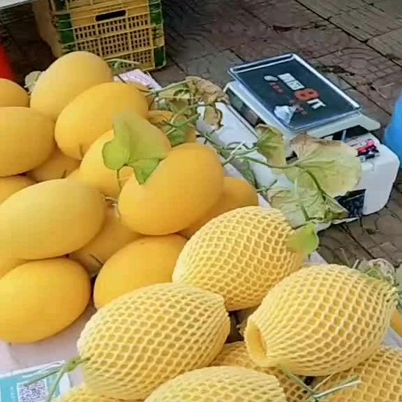合做共赢