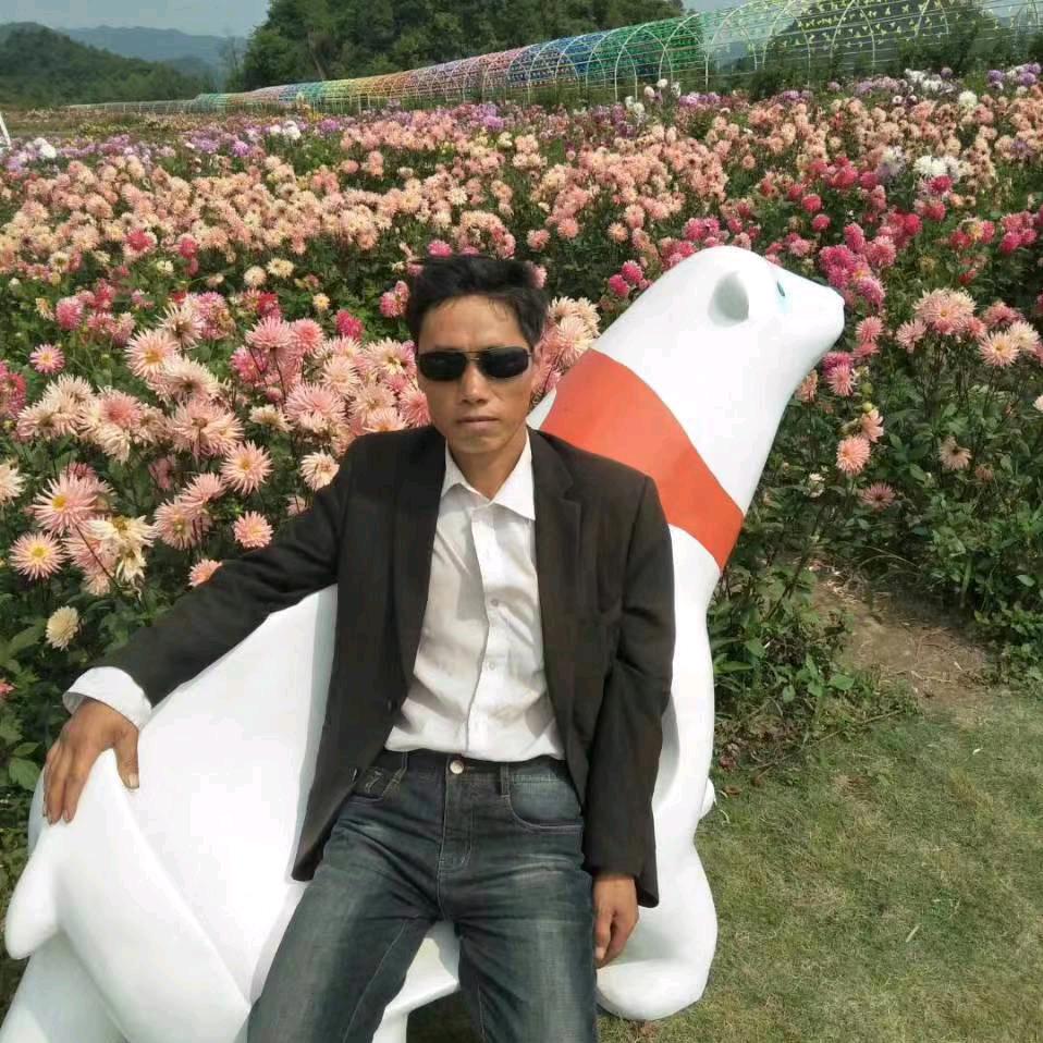 黄进