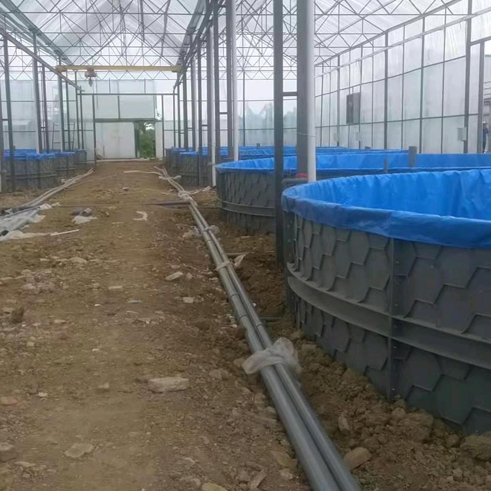 鱼坦克水产养殖设备《姚》