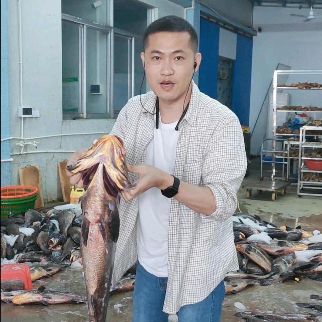 鱼胶文化馆