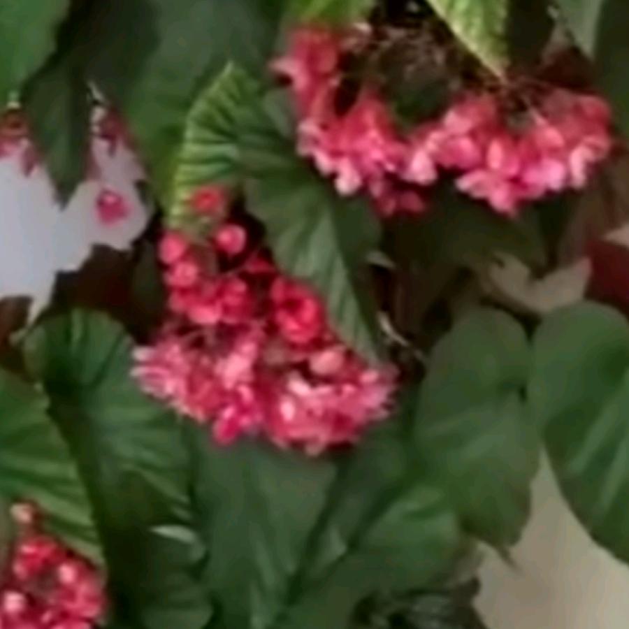 喜乐年华(≧∇≦)/