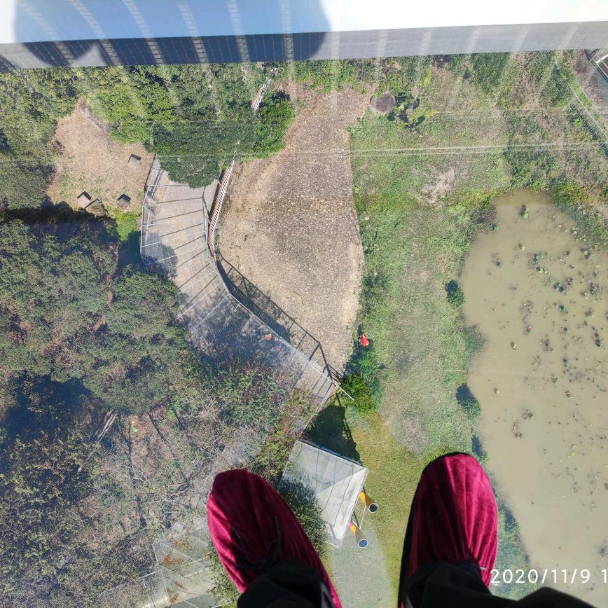 期望日子清净，抬头皆是温柔